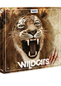 Wildcats