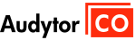Audytor CO Pro