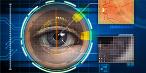 Ozeki Camera SDK for .NET Professional license 256 cameras