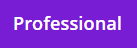 Visual Paradigm Professional Floating License
