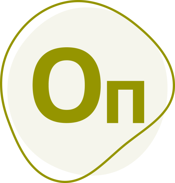Model Studio CS ОПС (3.x, сетевая лицензия, доп. место)