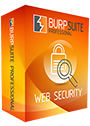 PortSwigger Burp Suite Professional license - valid for One year