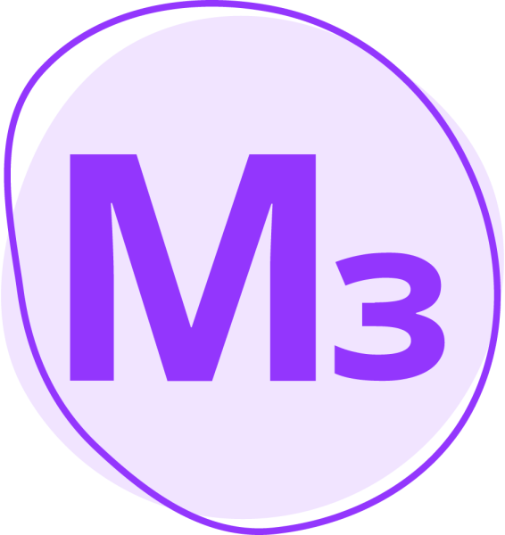 Model Studio CS Молниезащита (3.x, сетевая лицензия, доп. место (1 год))