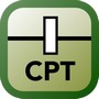 Свая СРТ Enterprise Подписка (1 год)