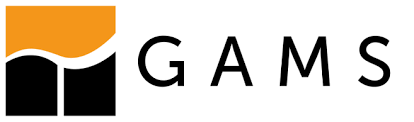 GAMS/CPLEX-Link
