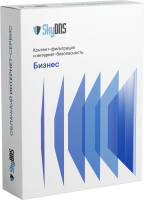SkyDNS Бизнес. 15 лицензий на 1 год