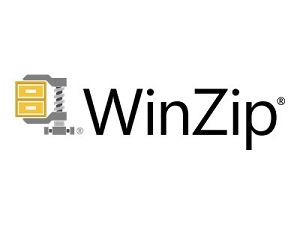 WinZip SafeMedia 9 License (2501-10000)