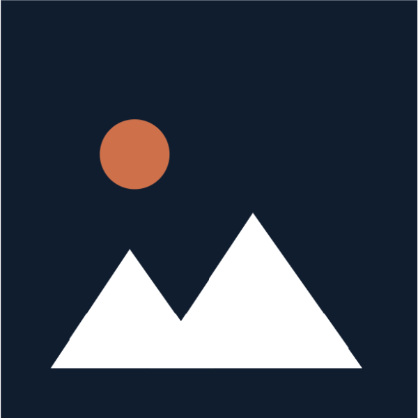 Portfolio Professional Annual Subscription