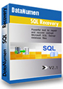 DataNumen SQL Recovery