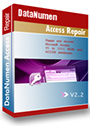 DataNumen Access Repair
