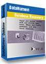 DataNumen Database Recovery