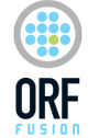 VamSoft ORF Fusion 251 - 500 users (1 year subscription) (per user)