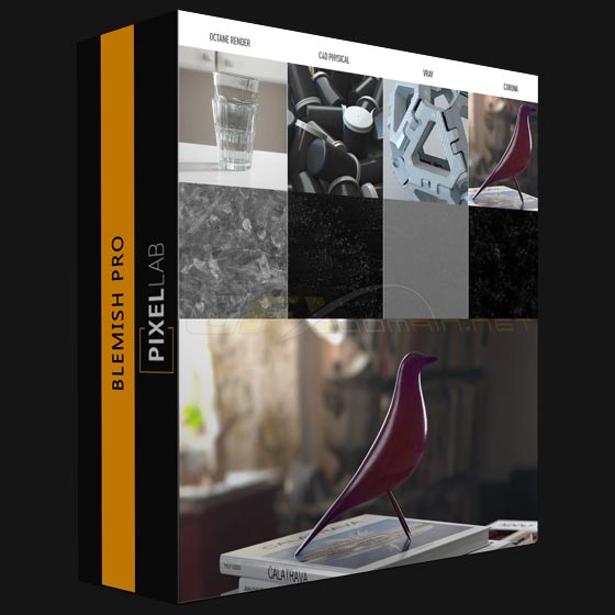 The Pixel Lab Blemish Pro Vol. 2