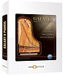 Best Service Galaxy X-Loops