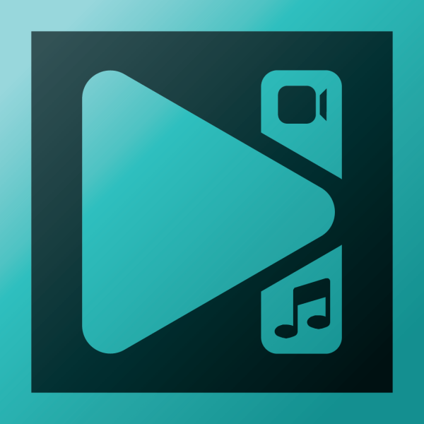 VSDC Video Editor PRO Годовая лицензия для юр.лиц. свыше 100 лицензий