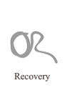 Recovery for PostgreSQL Standard License