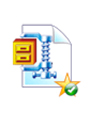 ZIP Repair Pro 1 лицензия