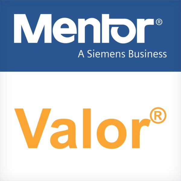 Valor DFT Ap SW сетевая бессрочная лицензия + 1 год поддержки