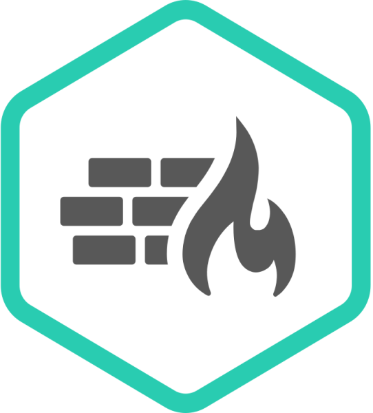 Kaspersky NGFW на 2 года