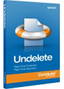 Undelete Client 1-Year Subscription 250-499 (per PC)