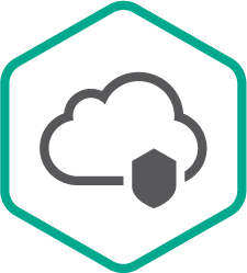 Kaspersky Endpoint Security Cloud Pro Russian Edition. 25-49 Workstation / FileServer; 50-98 Mobile device 2 year Base License - Лицензия