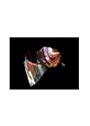 Conoa 3D Layer