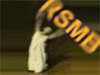 RE:Vision Effects ReelSmart Motion Blur Pro v6.x (Floating)