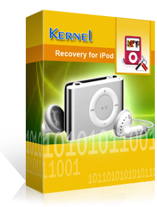Kernel Recovery for iPod Corporate License
