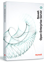Open Enterprise Server Limited Use 1-User 1-Year Initial Business Support Subscription