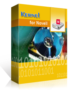 Kernel for Solaris Sparc Recovery Corporate Licence