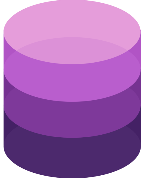 Stimulsoft BI Server Site License Includes one year subscription
