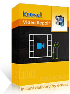 Kernel Video Repair Technician Licence Lifetime License