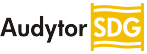 Audytor SDG
