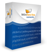 Winflector Console 10-19 licenses (price per license)
