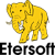 Etersoft