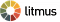 Litmus Software