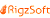 Rigzsoft