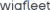 Виафлит