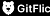 GitFlic