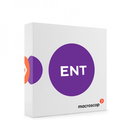Macroscop Enterprise (лицензия на работу с 1 IP - камерой)