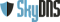 SkyDNS
