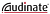 Audinate