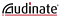 Audinate