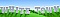 WhiteTown Software