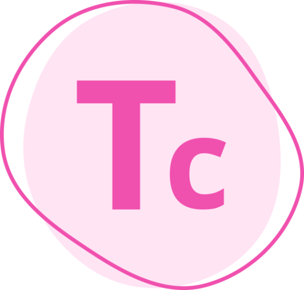Model Studio CS Технологические схемы (3.x, сетевая лицензия, доп. место с SchematiCS xx, Upgrade)
