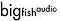 Big Fish Audio