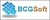 BCGSoft