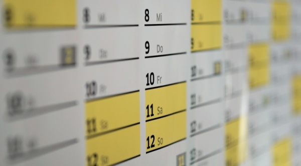 Calendar Plus Professional Edition+ Standard Support