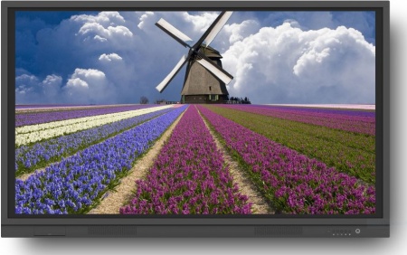 Интерактивная панель EdFlat ED65UH Интерактивная панель EdFlat ED65UH
