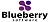 Blueberry Software